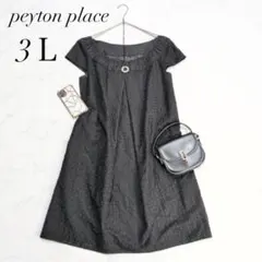 ペイトンプレイス/フレアワンピース/刺繍レース/シルク混/フレンチスリーブ