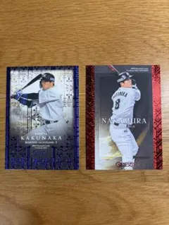 Item thumbnail for item dc9e7954-54ad-4573-b4d4-c1e411eb6847