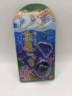 レア　海で発見　たまごっち　クリアパープル　紫　人気品　スケルトン 海で発見!!たまごっち クリアパープル 紫 スケルトン - メルカリ