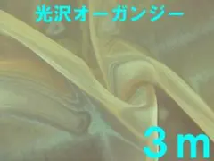 ロゼブロッサム様 リクエスト 2点 まとめ商品