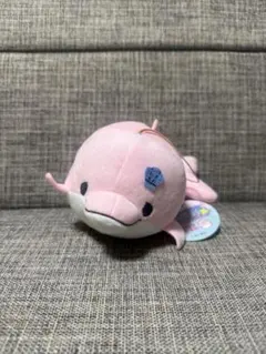 2025年最新】みいるかの人気アイテム - メルカリ