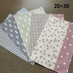 ラスト1 ２枚仕立て ランチョンマット 女の子 20×30 5枚セット 裏地付き