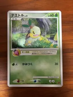 ナエトル PROMO PPPプロモーションカード 001/DP-PPP - メルカリ