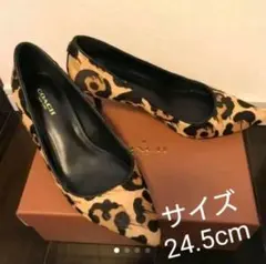 coach パンプス　ヒョウ柄