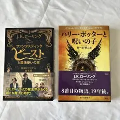 ファンタスティック・ビーストと魔法使い ハリーポッターと呪いの子　2冊セット