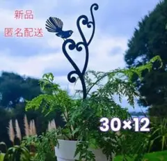 花音(カノン)様 リクエスト 3点 まとめ商品