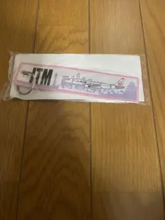 JAL 飛行機デザイン キーホルダーのサムネイル
