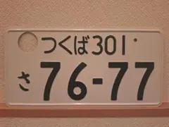 観賞用　普通車　抹消済　ナンバープレート 封印用穴あり】ナンバープレート ・艶消し無地｜中古車展示用｜写真
