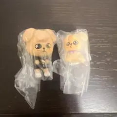 SKZOO めじるしアクセサリー つまんでつなげてますこっと