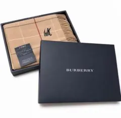 BURBERRY バーバリー ひざ掛け ブランケット - メルカリ