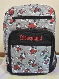 2026年最新】カリフォルニアディズニー リュックの人気アイテム - メルカリ