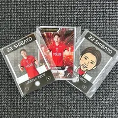 Item thumbnail for item e3a28d7d-17ee-428f-b835-77681e7174e8