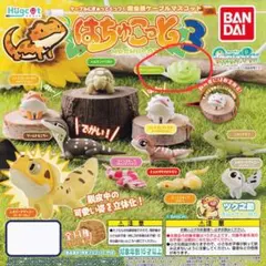 ハグコット はちゅこっと2 全9種 コンプリート ガチャ ハグコット はちゅこっと2｜ガシャポンオフィシャルサイト