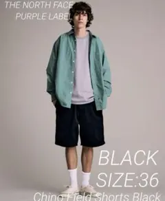 THE NORTH FACE PURPLE LABEL Shorts 36 黒