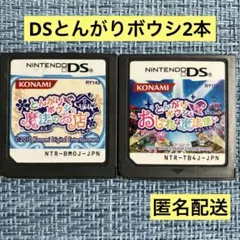 DS とんがりボウシ 2本 ソフトのみ