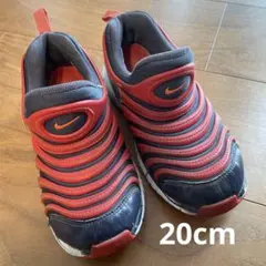 Nike ダイナモフリー20cm