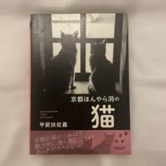 京都ほんやら洞の猫