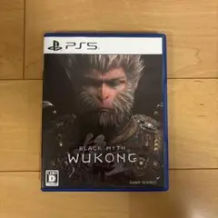PS5 BLACK MYTH WUKONG 黒神話 悟空