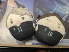 ハイキュー！！　ふわころりん(宮治•角名倫太郎)