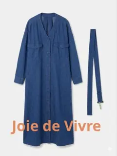 Joie de Vivre フレンチリネン硫化染めバイオバックタックドレス