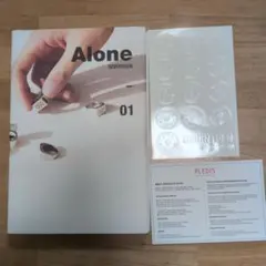 Alone 01 seventeen