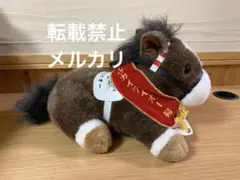 トウカイテイオー　第58回　日本ダービー（有馬仕様）