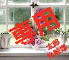 光触媒　人工観葉植物　ウォールグリーン　フェイクグリーン　ラベンダーローズのサムネイル