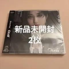 2026年最新】stray kids giant 未開封の人気アイテム - メルカリ