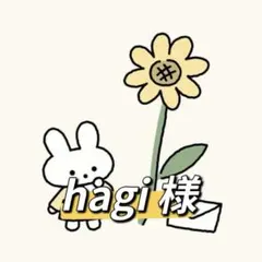 hagi様専用