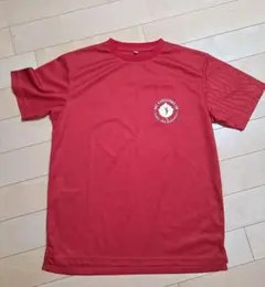 Item thumbnail for item 8e40bea4-4b96-4d30-966b-9450aea4c36d