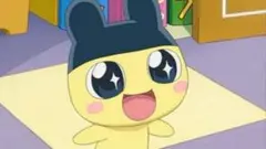 専用