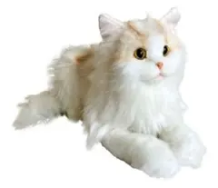 2026年最新】猫 サイベリアンの人気アイテム - メルカリ