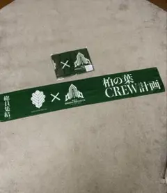 NECグリーンロケッツ東葛　応援グッズタオルマフラー　2枚セット