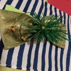 水引飾り とグリーングラデーションリボン、成人式振袖、卒業式袴