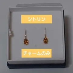 agete ピアスチャーム