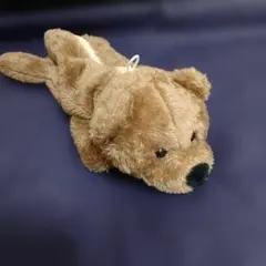 Item thumbnail for item dccffece-1364-4058-bb3f-b8d0d089b9f8