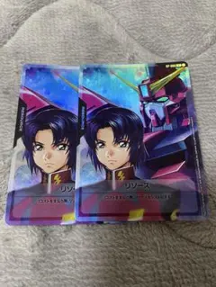 アスラン・ザラ　リソース