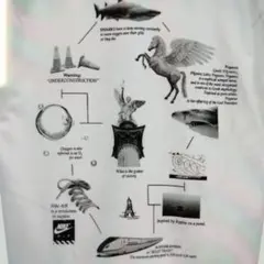 新品 Nike グラフィックTシャツ ホワイト M