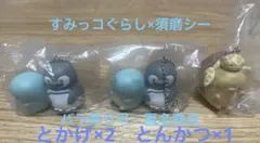 すみっコぐらし 神戸須磨シーワールドのいきものたち