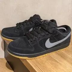 Nike SB Dunk Low Pro 