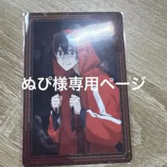 ぬぴ様専用ページ