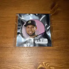 オリックスバファローズ　アンダーソン・エスピノーザ　ジュニア会員　カンバッジ