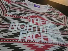 ノースフェイス パープルレーベル 希少柄 ロゴTシャツ Ｌ