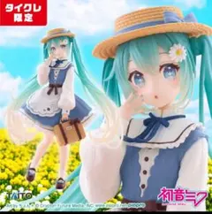 初音ミク Fashion フィギュア Country（タイクレ限定）