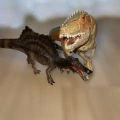 Item thumbnail for item b4aa290b-f9a3-40ff-a2c7-c74ad05c2912