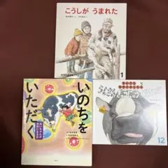 食育　牛の絵本　いのちをいただく＆かがくのとも　こうしがうまれた他1冊