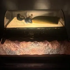 2025年最新】白雪姫 ルームランプの人気アイテム - メルカリ