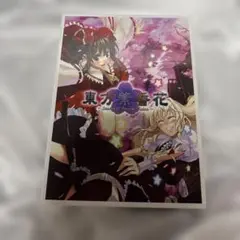 超希少品 東方 ヴィジョン vision デッキ 2025年最新】vision 東方 カードの人気アイテム - メルカリ