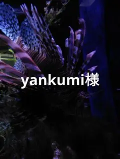 ハーバリウムボールペン　レジン アクセサリー 花材セット 気まぐれ素材　オーダー