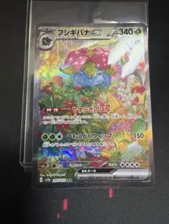 フシギバナex SAR 200/165 メガフシギバナex SR 076/063 メガフシギバナex SR 076/063」の激安通販 | magi